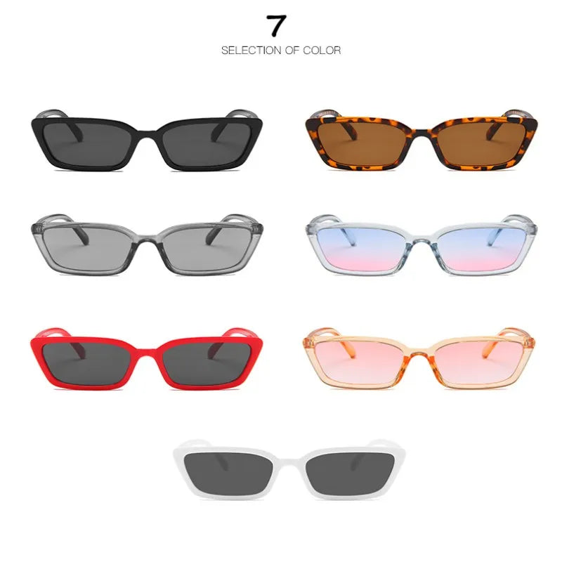 Cat Eye Sun Glasses